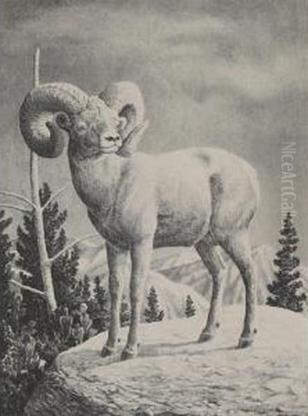 Bighorn Ram Oil Painting by Charles C. Mckim