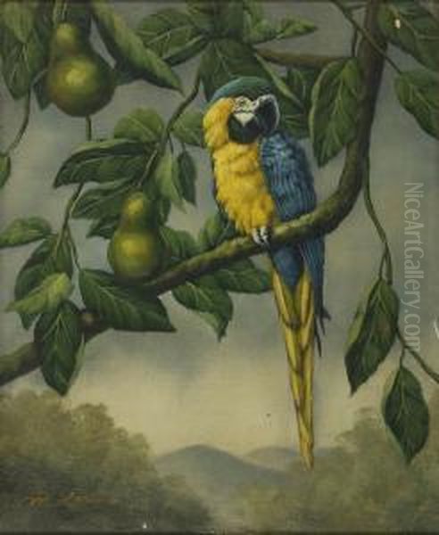 A Blue Parrot. Signed Lower Left M. Larkin Oil Painting by Larkin Goldsmith Mead