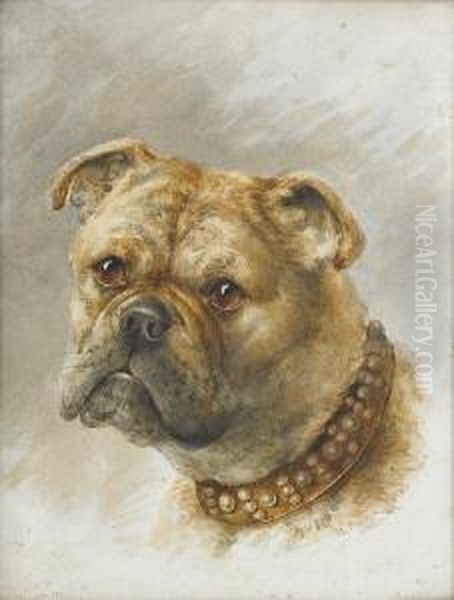 Head Of A Bulldog Oil Painting by Lewis Henry Meakin