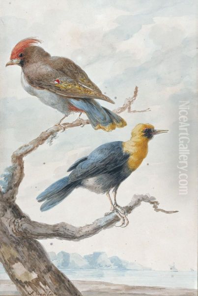 Two Exotic Birds Perched On A Tree, A Coastal Landscape Behind Oil Painting by Abraham Meertens