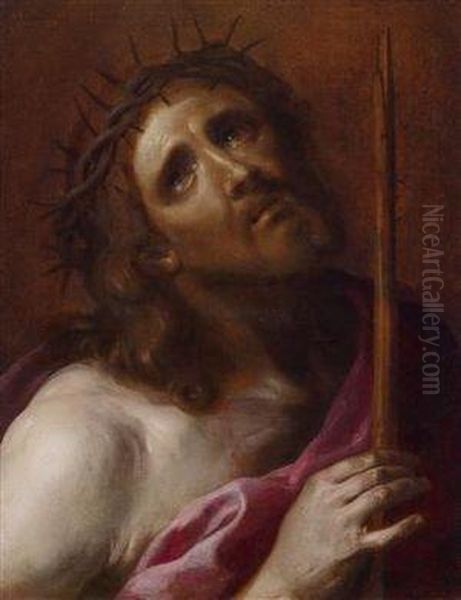 Testa Di Cristo Oil Painting by Bernardino Mei