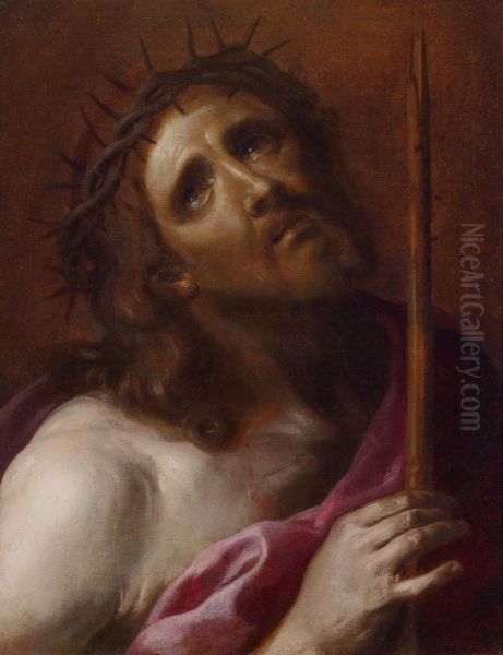 Testa Di Cristo Oil Painting by Bernardino Mei