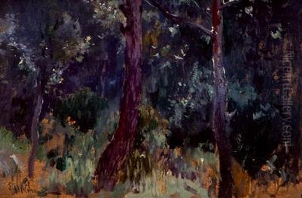 Paisaje Nocturno Oil Painting by Eliseu Meifren i Roig