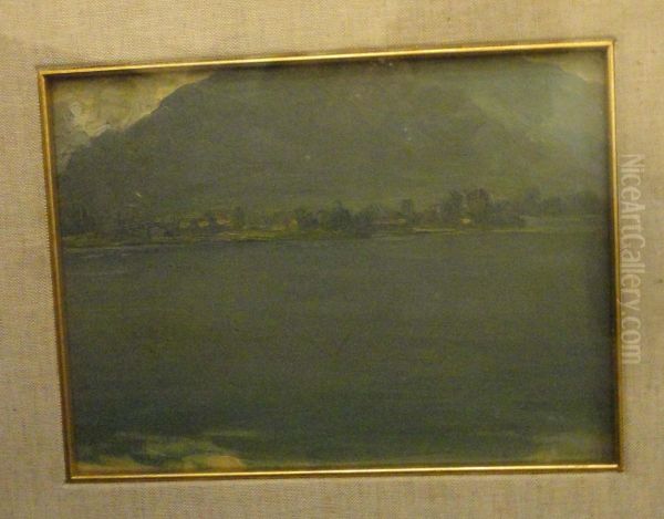 Una Mattina Sul Lago Dilecco Oil Painting by Guido Meineri