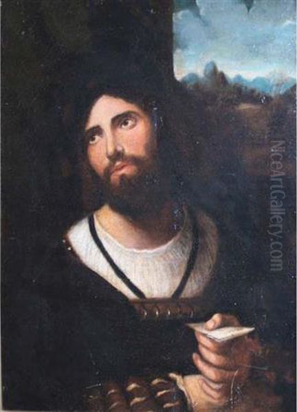 Young Man Holding A Letter Oil Painting by Altobello Meloni