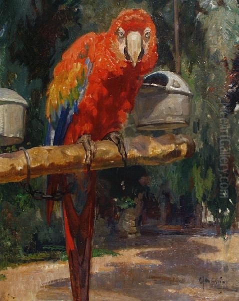 Parrot Oil Painting by Cornelis Jan Mension