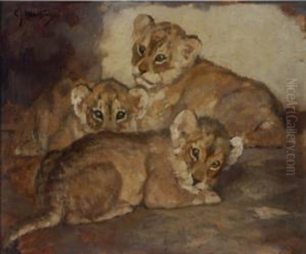 Three Lion Cubs Oil Painting by Cornelis Jan Mension