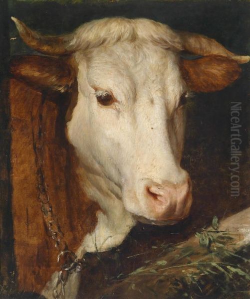 Cow Oil Painting by Julie Menzel