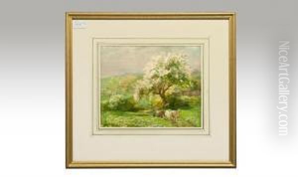 Cattle Drover Stopped After A Tree In Blossom Oil Painting by Frederick Mercer