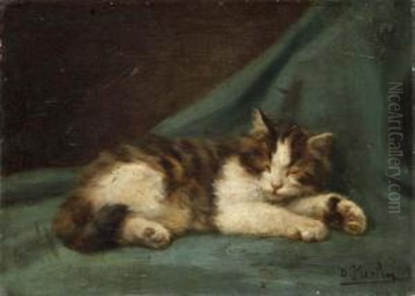 Chaton Endormi Oil Painting by Daniel Merlin