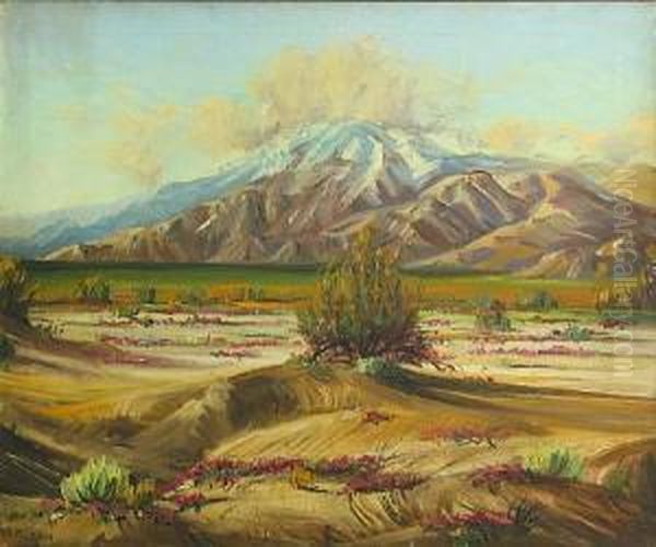 Desert In Bloom With Mountains In The Distance by James Arthur Merriam