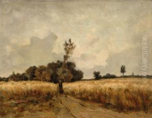 Wheat Fields Indrenthe Oil Painting by Taco Mesdag