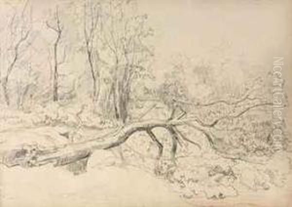 One Sketchbook With Fifty Studies Of Dune Landscapes, Woods Andtrees Around The Hague Oil Painting by Sientje Mesdag Van Houten