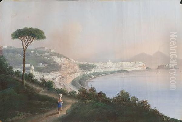 Veduta Del Golfo Di Napoli Oil Painting by B. Meuris