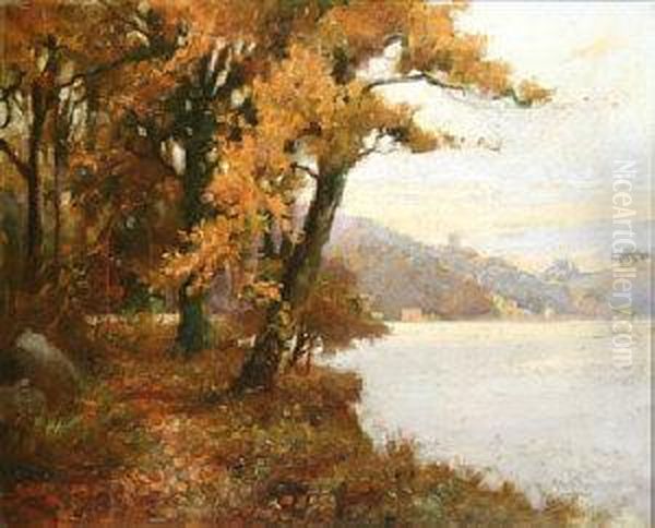 Lakeside View Oil Painting by Allan Michaelmore