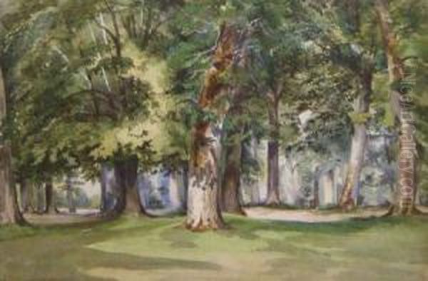 Aview Through A Wood Oil Painting by John Middleton