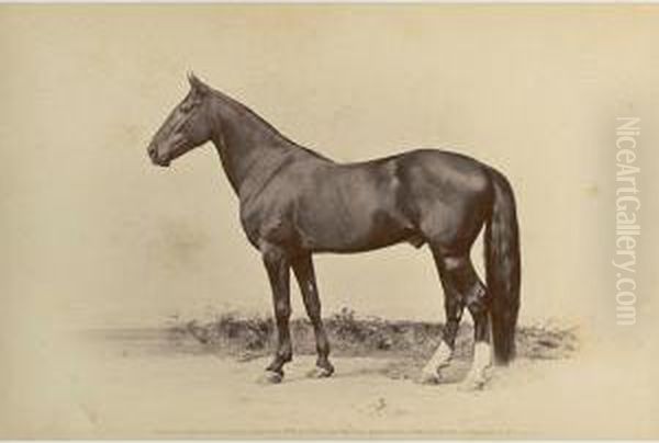 Portraits Of Noted Horses Of America Oil Painting by Frank Miles