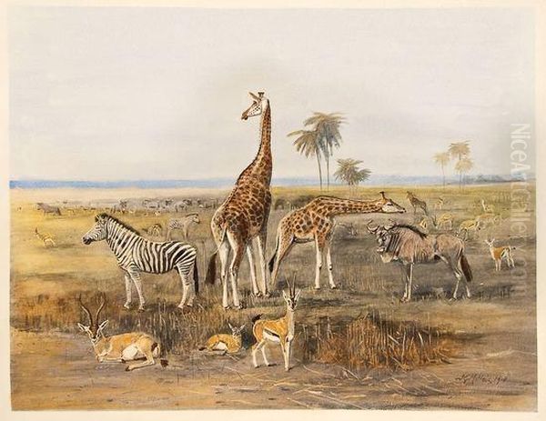 Wild Life In Africa Oil Painting by John Guille Millais