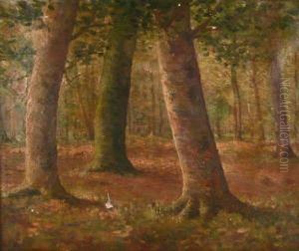 Trees In Forest Clearing Oil Painting by Oscar Miller