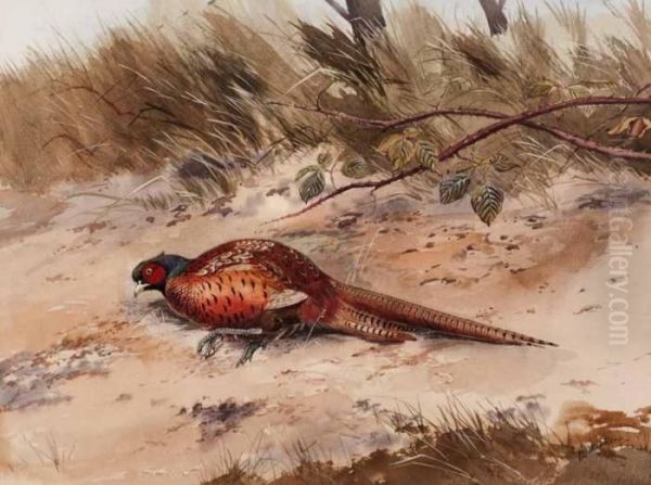 Pheasant Oil Painting by Robert W. Milliken