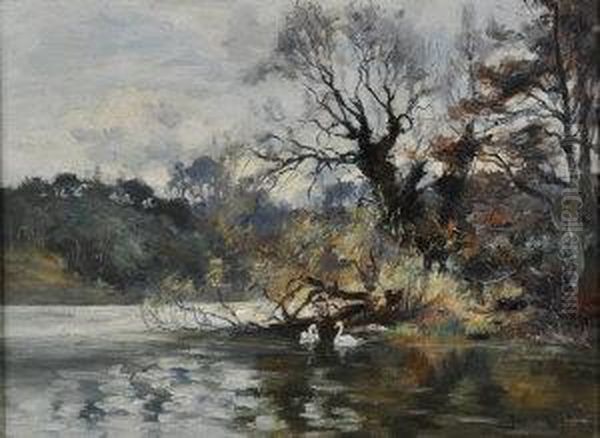 Swans At A Riverbank Oil Painting by Joseph Milner