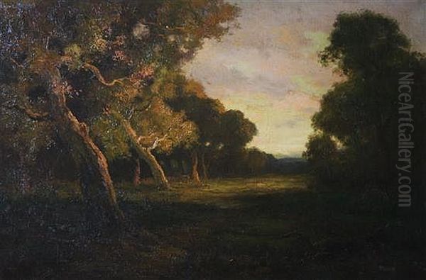 Forest At Dusk Oil Painting by Robert Crannell Minor