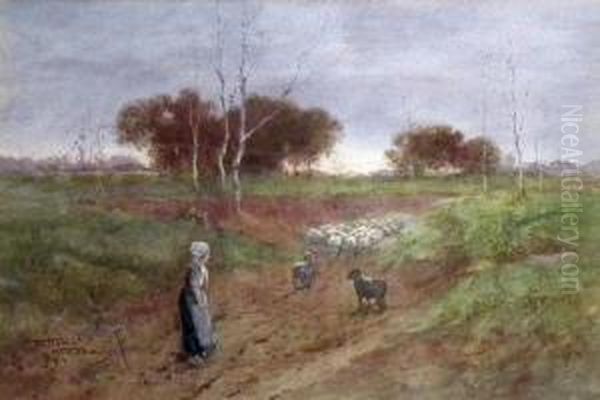 Country Landscape With Shepherdess And Her Flock Oil Painting by Hutton Mitchell