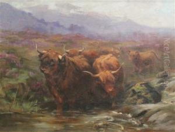 Highland Cattle Watering Oil Painting by Miss L.C. Mitchell