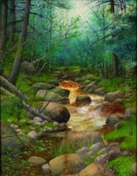 Woodland Brook Oil Painting by Neil Mitchell