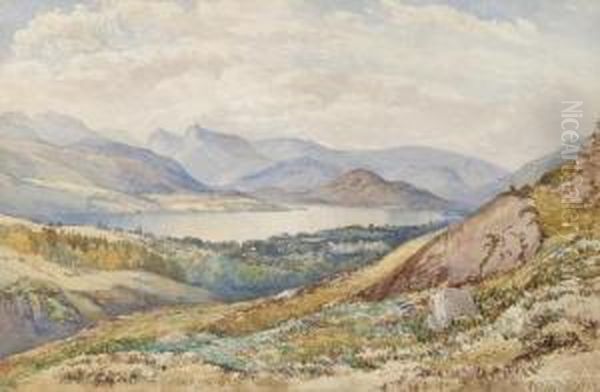 Lakeland Landscape Oil Painting by Philip Mitchell