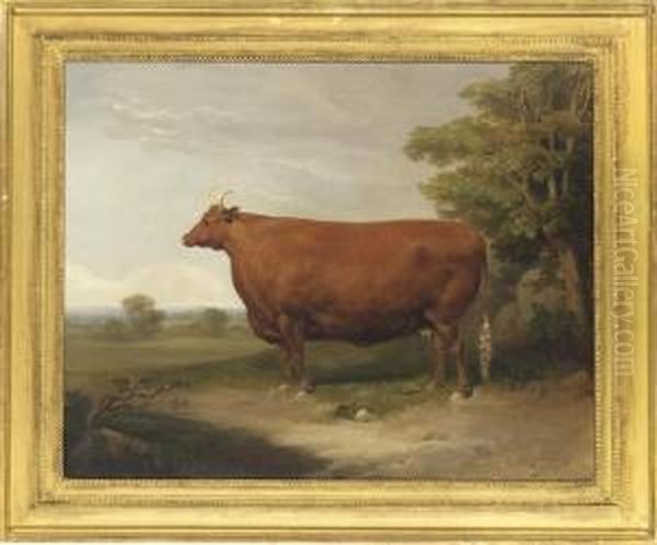 A Prize Cow In An Extensive Landscape; And A Prize Bull In Afarmyard Oil Painting by Thomas Mogford Of Exeter