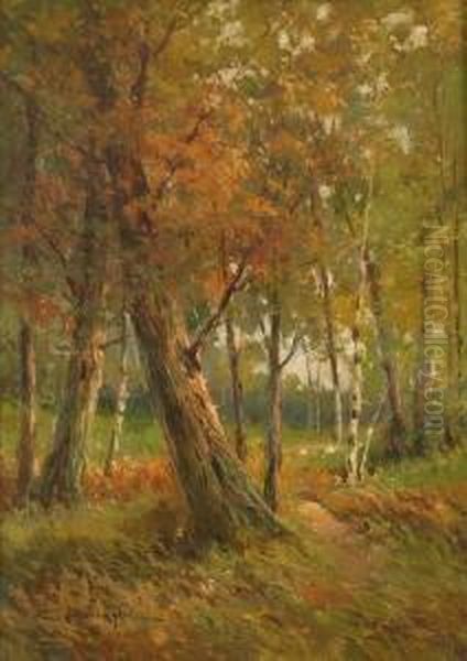 Monza Park, Milan Oil Painting by Anacleto Moiraghi