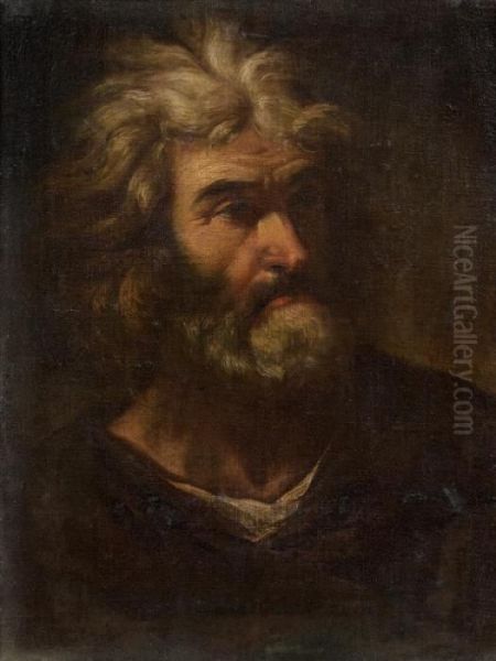 Tete D'homme Oil Painting by Pier Francesco Mola