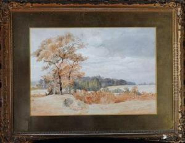 Trees In A Landscape Oil Painting by John Henry Mole