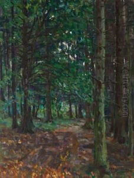 Buchenhochwald. Oil Painting by Oskar Moll