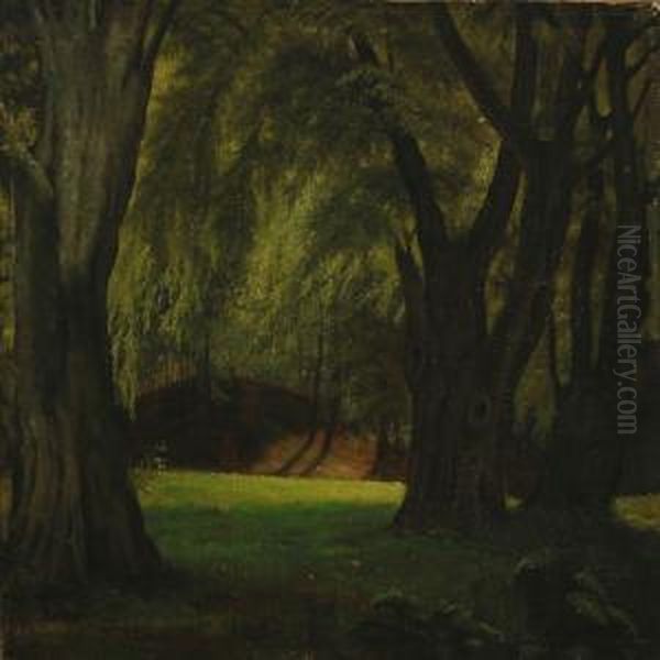 Forest Scenery Oil Painting by David Monies