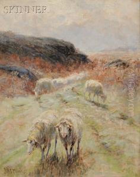 Grazing Sheep Oil Painting by John Austin Sands Monks