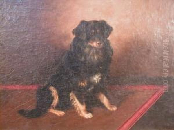 A Study Of A Seated Spaniel Oil Painting by Wt Monogrammist