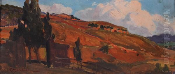 Paesaggio Collinare Oil Painting by Carlo Montani