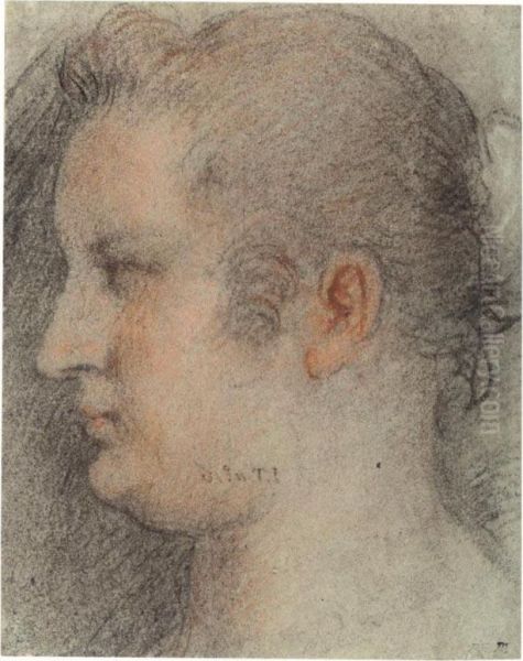 Study Of The Head Of A Woman Seen In Profile Oil Painting by Francesco Montemezzano