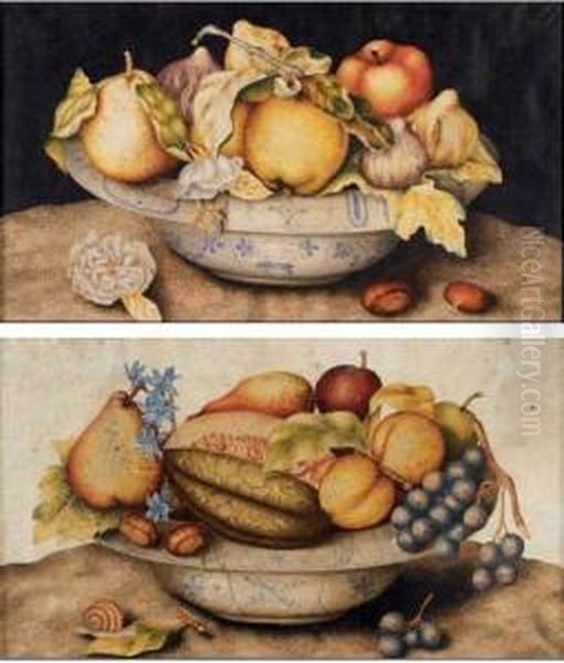 Natura Morta Con Frutta Oil Painting by Octavianus Montfort