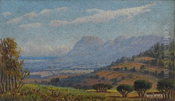 View From Constantia Looking Towards Muizenberg & False Bay Oil Painting by Edward Charles Moore