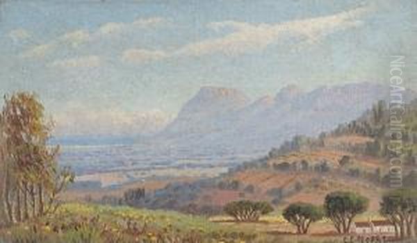 View Of Constantia Oil Painting by Edward Charles Moore