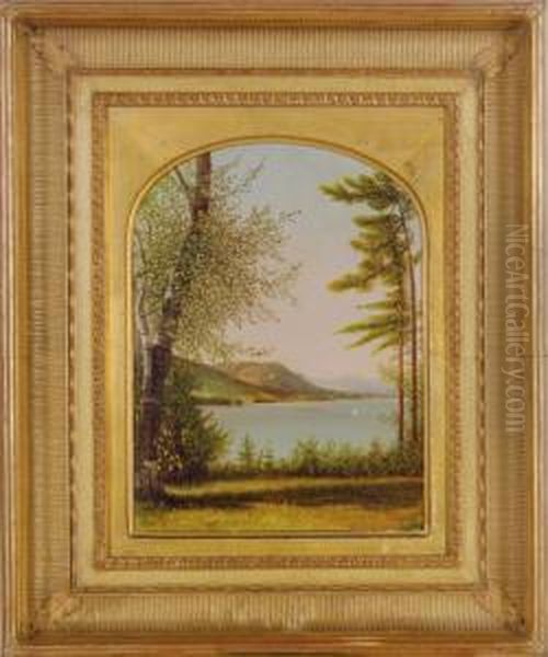 View Of Lake George Through The Forest Clearing Oil Painting by Nelson Augustus Moore