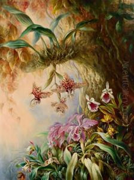 Wilde Orchideen Oil Painting by Friedrich Moos