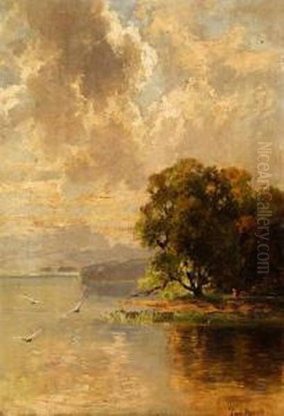 Blick Auf Den See Mit Kleinerinsel Oil Painting by Paul Moralt