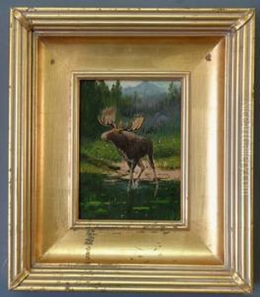 A Moose Oil Painting by John Moran