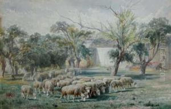 Sheep Grazing In A Field Oil Painting by Peter Moran