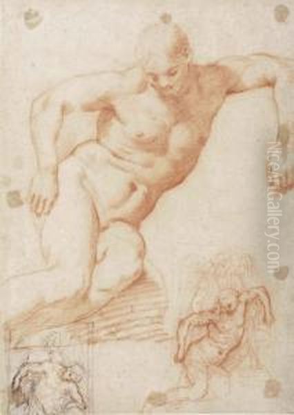 Studies Of The Dead Christ Supported By Angels Oil Painting by Francesco Morandini da Poppi