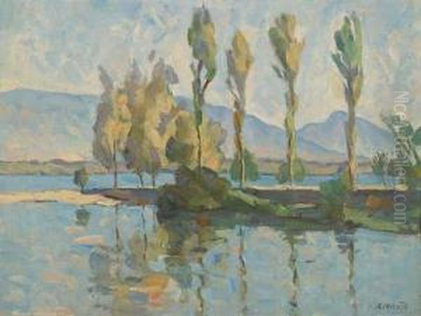 Vue Du Lac Depuis Versoix Oil Painting by Arthur Morard